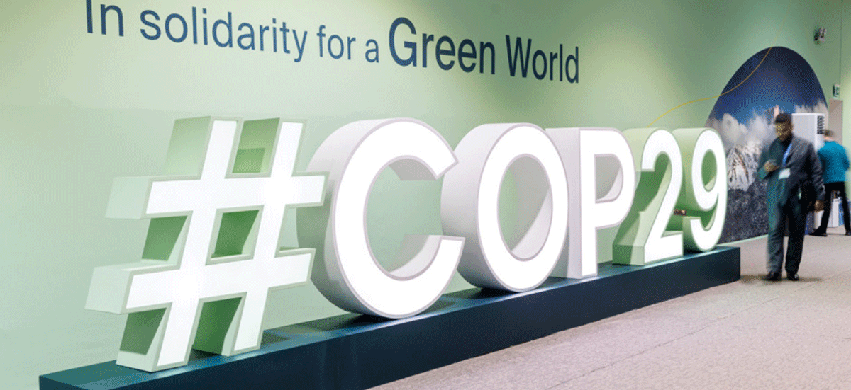 COP29